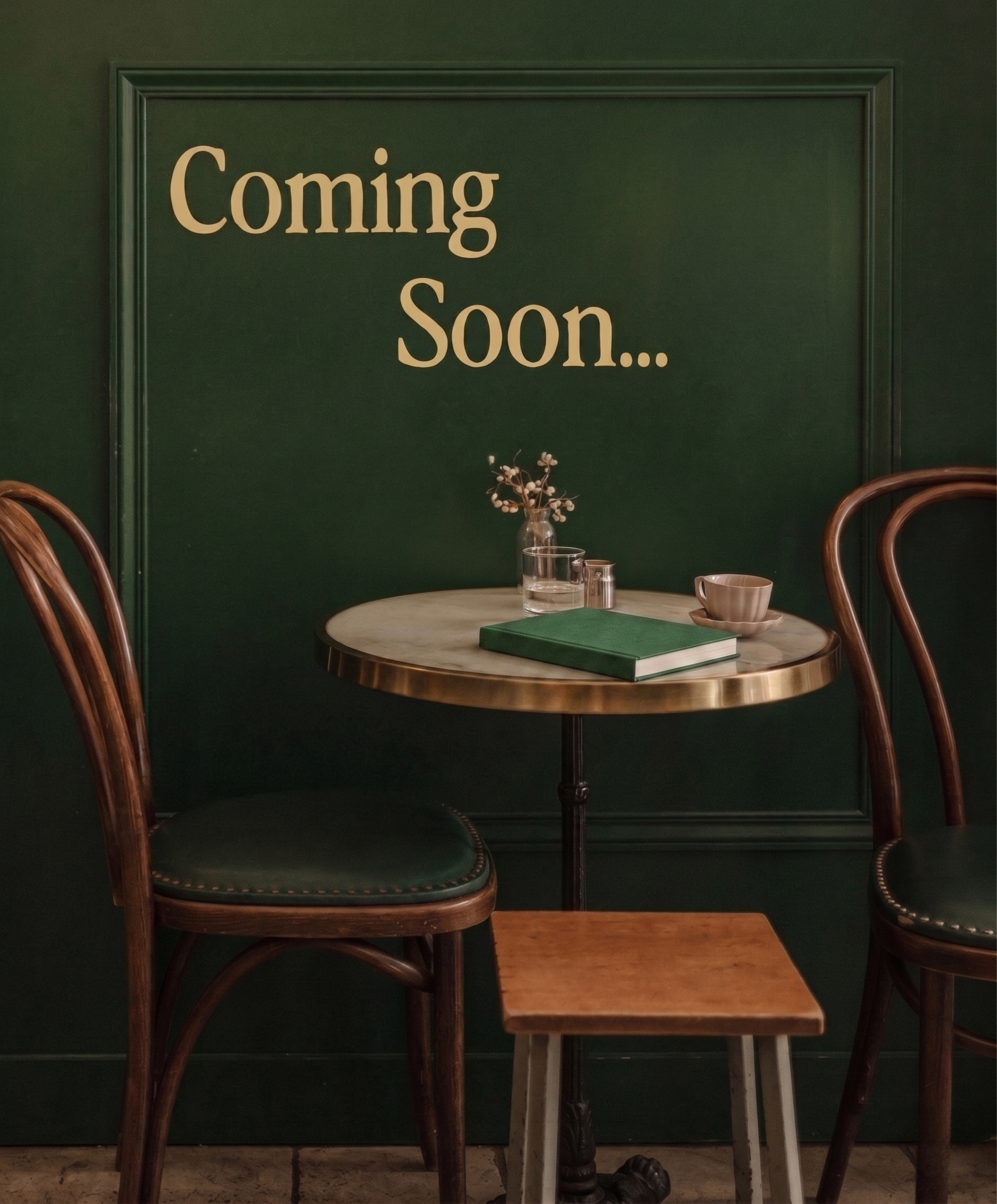 The Owner's Vault Book Cover